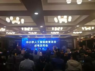 國家大力推廣編程教育 助力中小企業(yè)網(wǎng)站推廣與數(shù)字化轉型