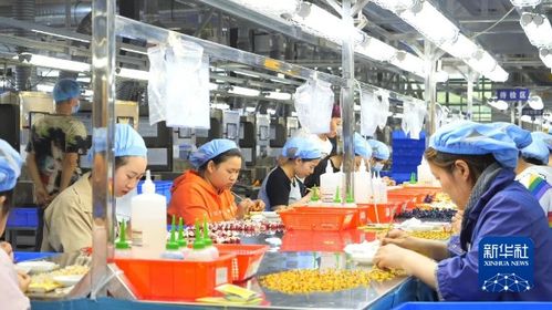 產業(yè)引領 繪就強村富民新畫卷——廣播電視節(jié)目制作經(jīng)營的鄉(xiāng)村賦能之路